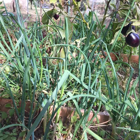 Maria's House Апартаменты