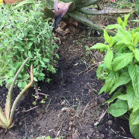 Maria's House Appartement