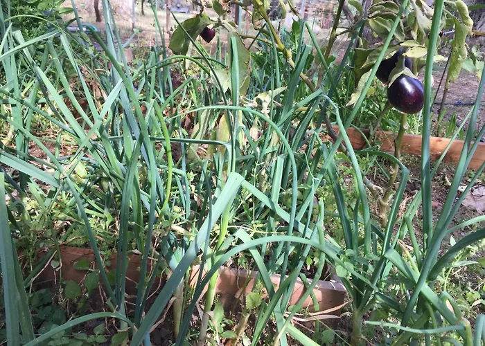 Maria's House アパート